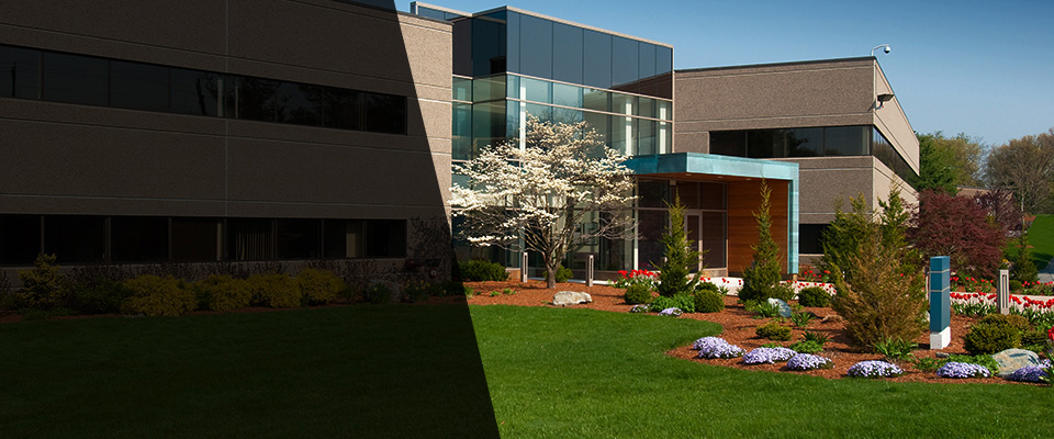 Carlsbad Landscapers