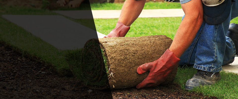 Carlsbad Landscapers